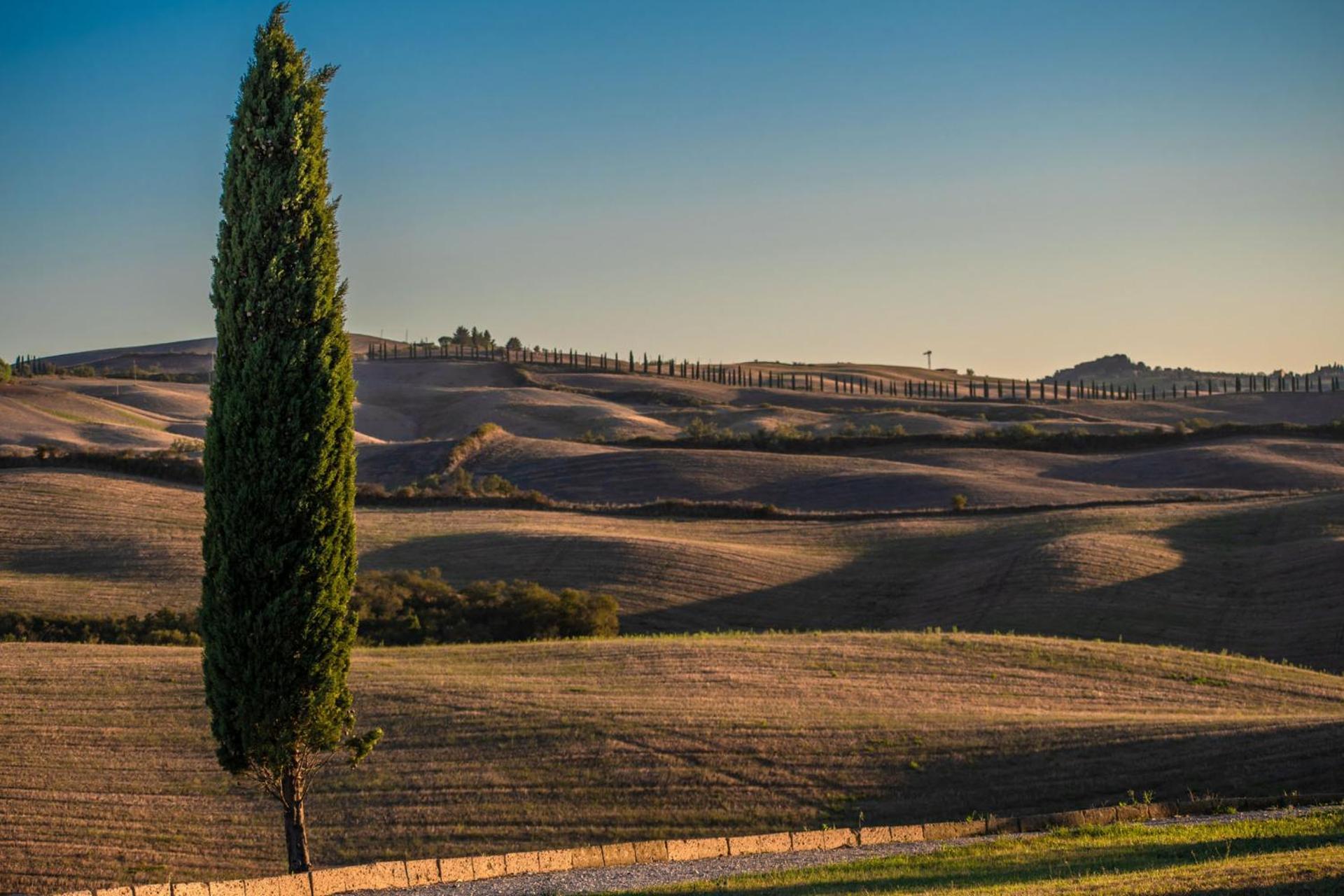 Podere Fossaccio Casa Pino Ашано Экстерьер фото